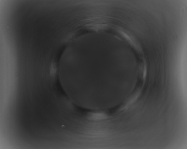 X0000100890284200807081047