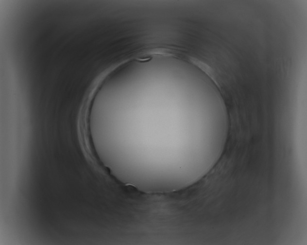 X0000100890289200807081047