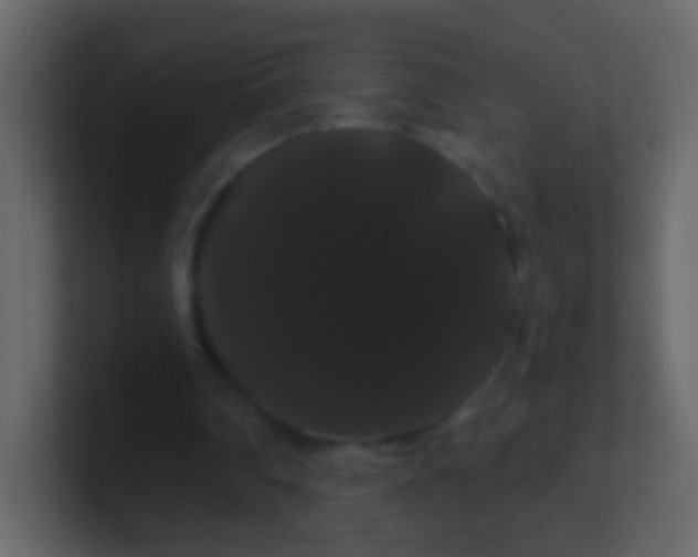 X0000100890290200807081047