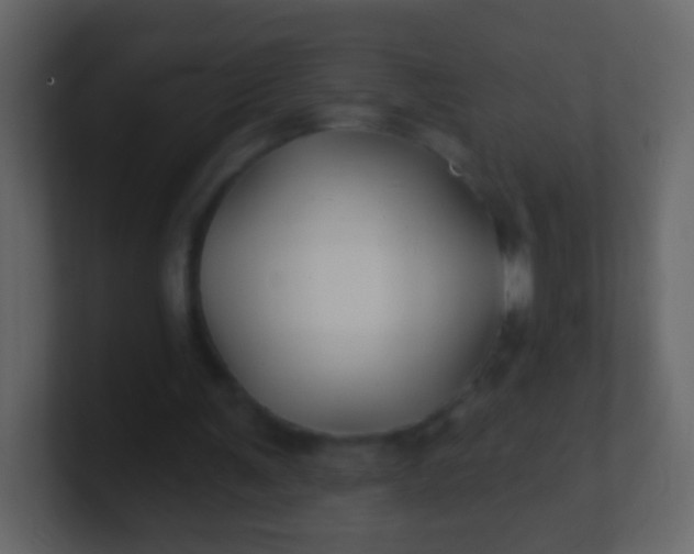 X0000100890291200807081047