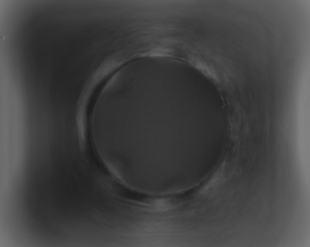 X0000100890295200807081047