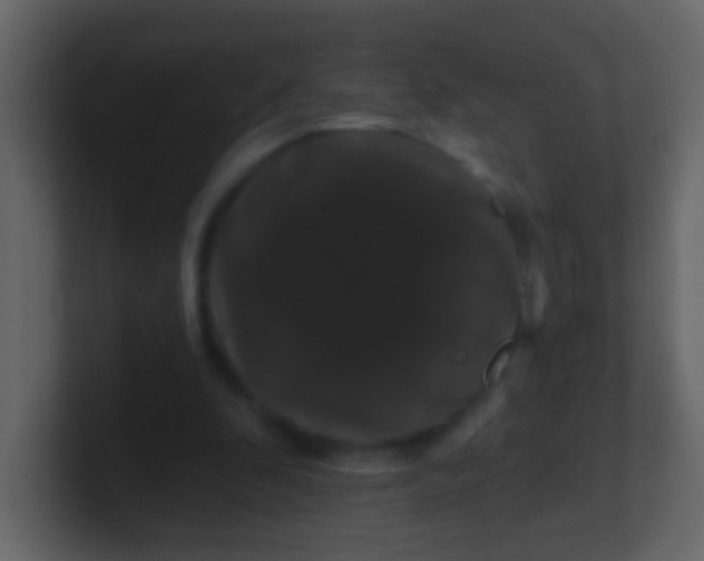 X0000100890296200807081047