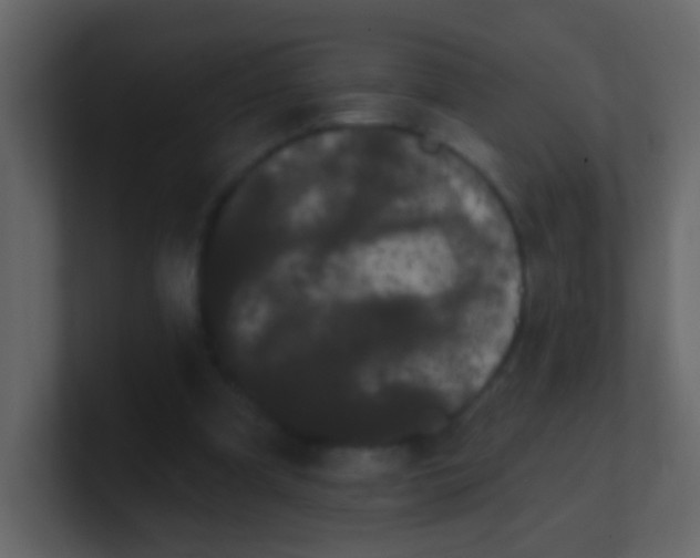 X0000100890297200807081047