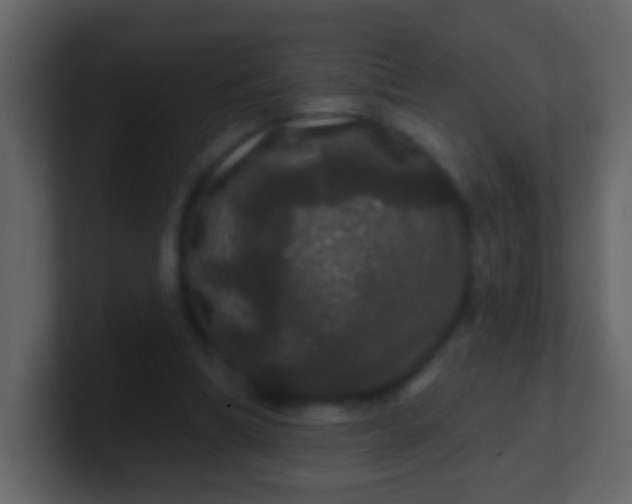 X0000100890298200807081047