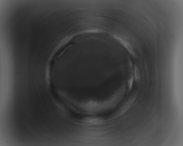 X0000100890300200807081047