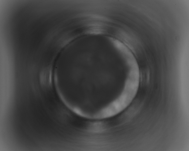 X0000100890301200807081047