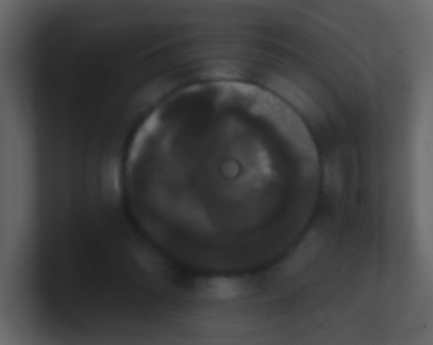 X0000100890302200807081047