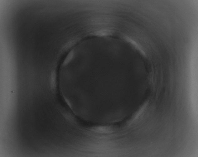 X0000100890303200807081047