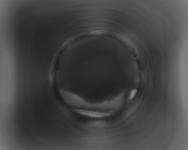 X0000100890304200807081047