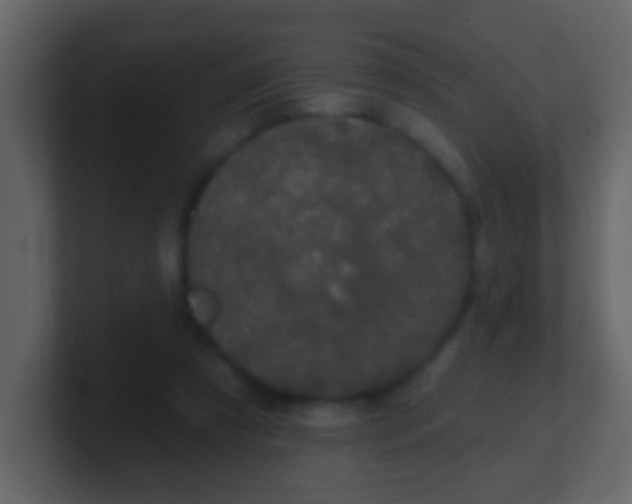 X0000100890305200807081047