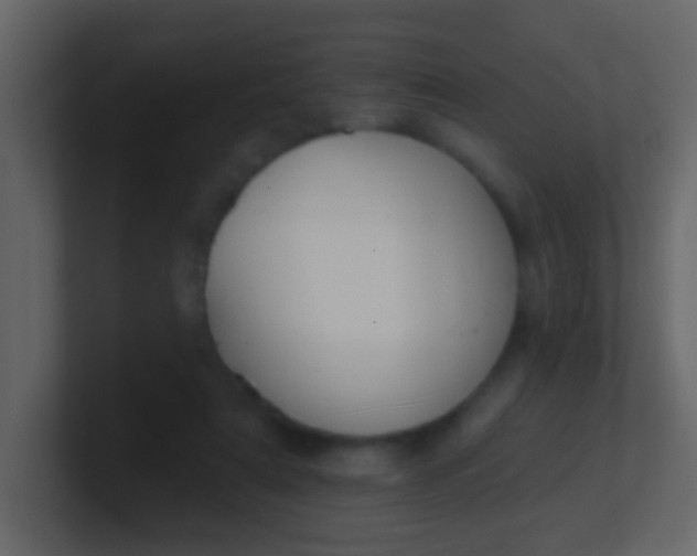 X0000100890307200807081046