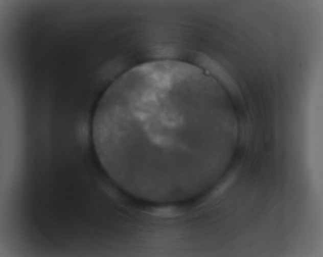 X0000100890309200807081046