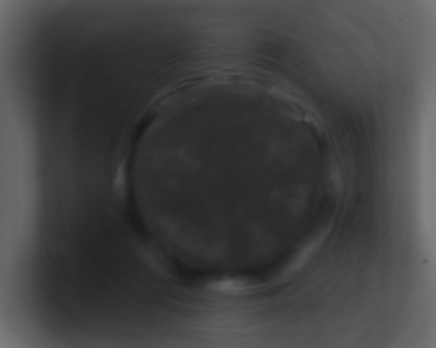 X0000100890312200807081046