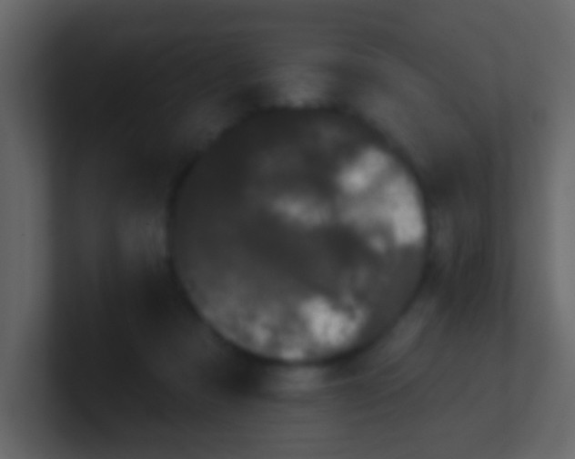 X0000100890313200807081046