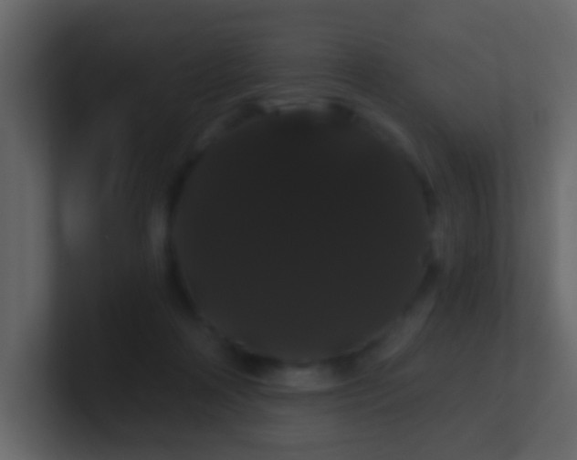 X0000100890314200807081046