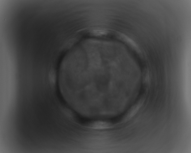 X0000100890315200807081046