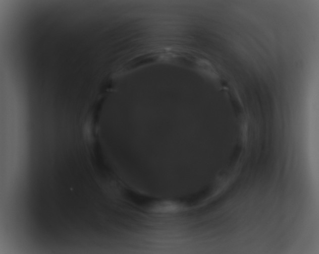 X0000100890316200807081046