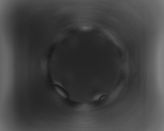 X0000100890319200807081046