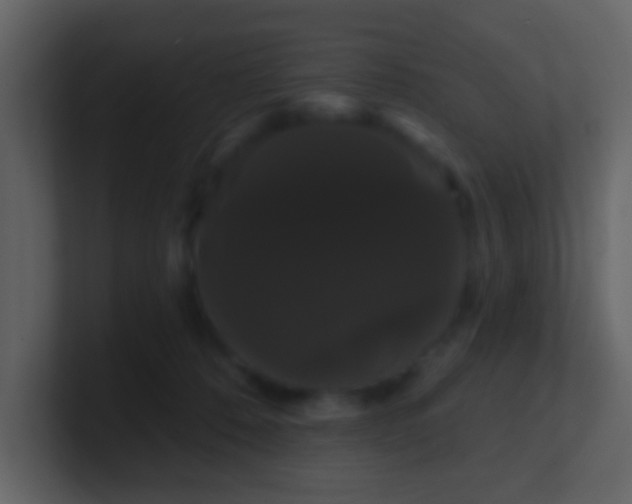 X0000100890320200807081046