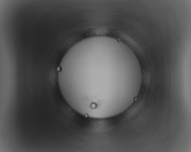 X0000100890321200807081046