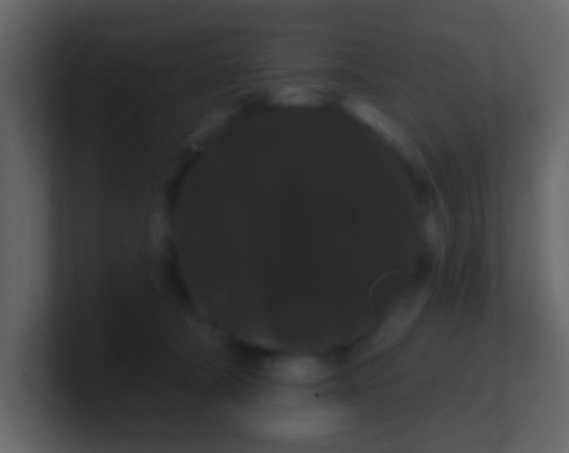 X0000100890322200807081046