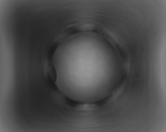 X0000100890323200807081046