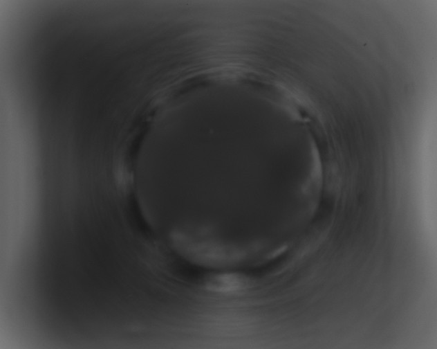 X0000100890324200807081046