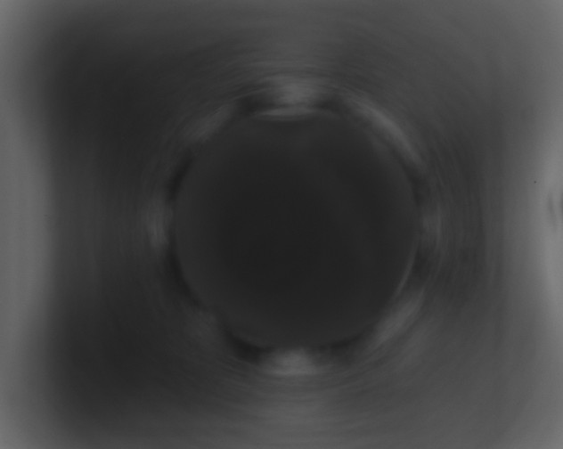 X0000100890325200807081046