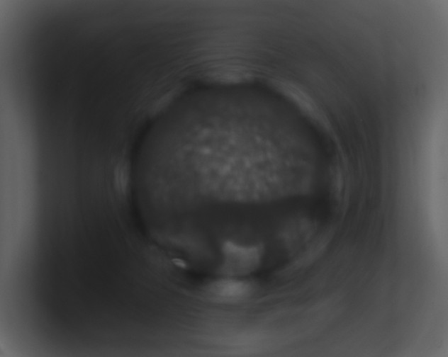 X0000100890326200807081046