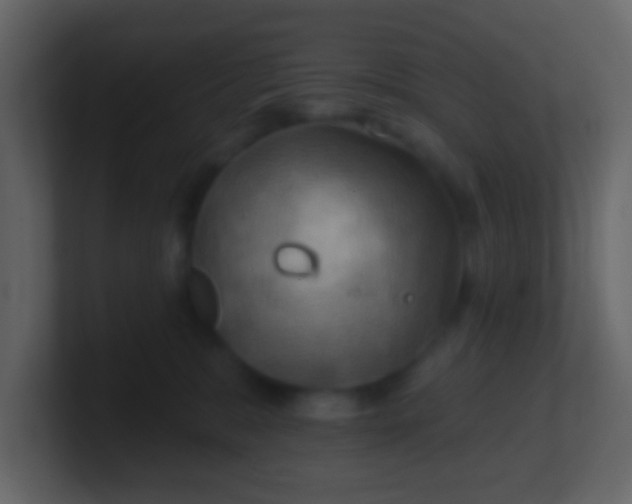 X0000100890327200807081046