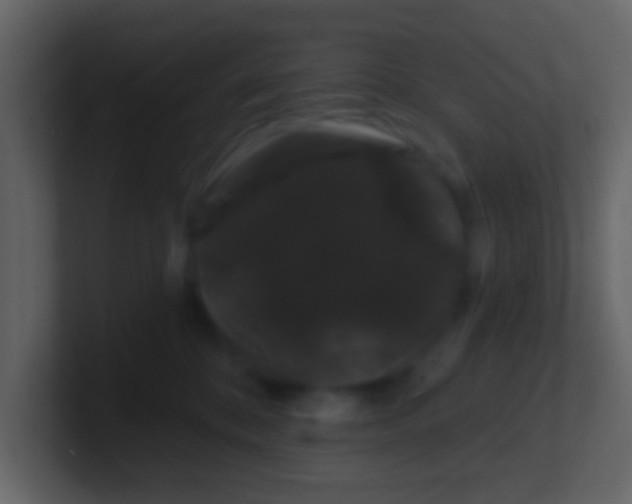 X0000100890328200807081046