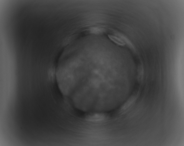 X0000100890329200807081046