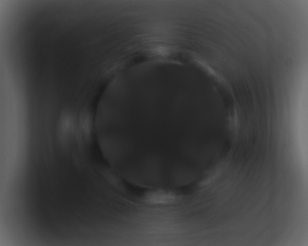 X0000100890331200807081046