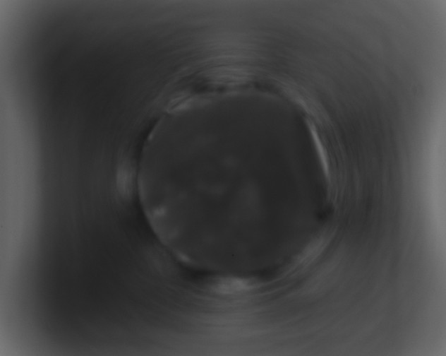 X0000100890332200807081046