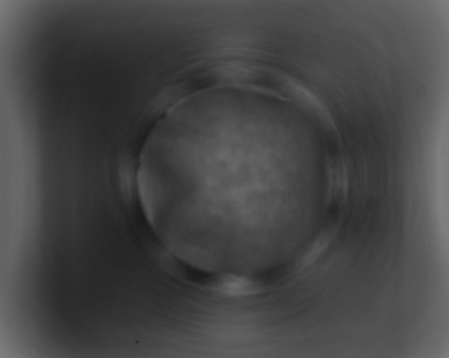 X0000100890333200807081046