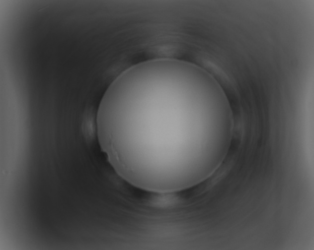 X0000100890334200807081046