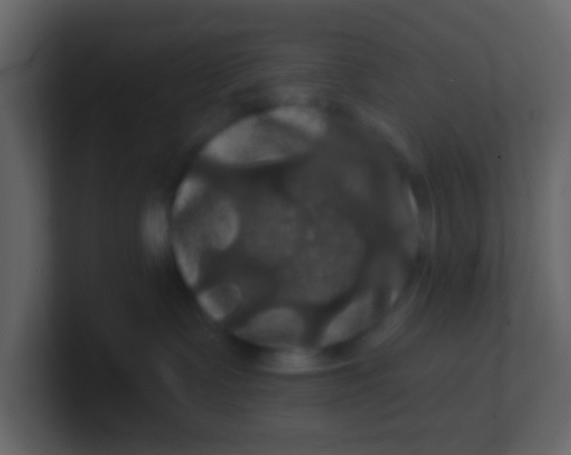 X0000100890335200807081046