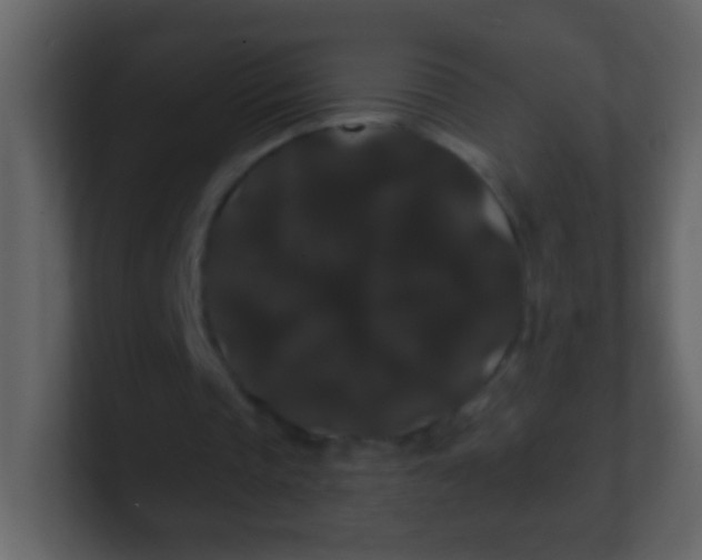 X0000100890337200807081045