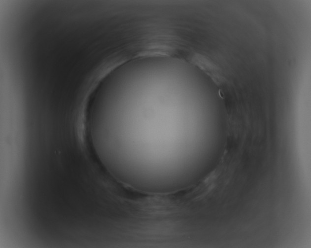 X0000100890338200807081045