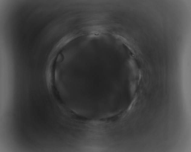 X0000100890339200807081045