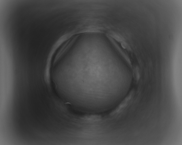 X0000100890340200807081045