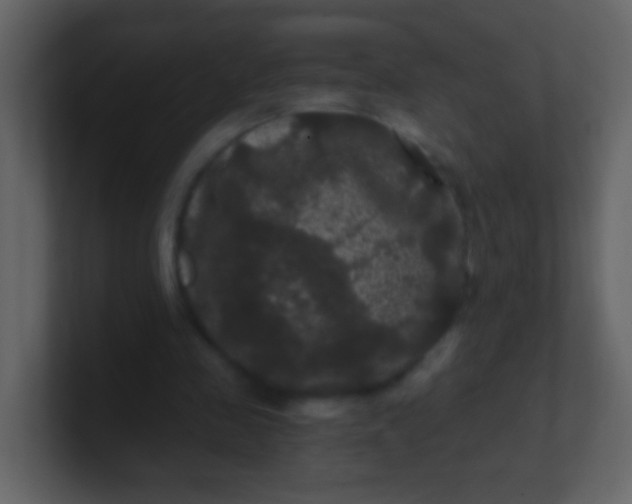 X0000100890341200807081045