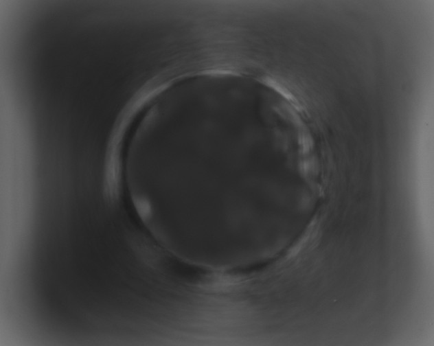 X0000100890343200807081046