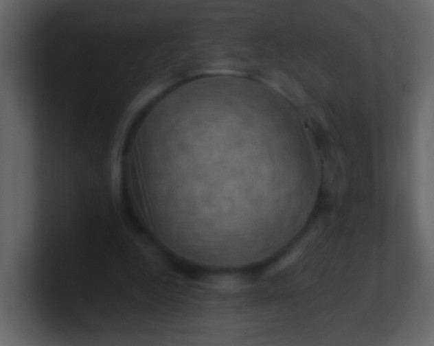 X0000100890344200807081046