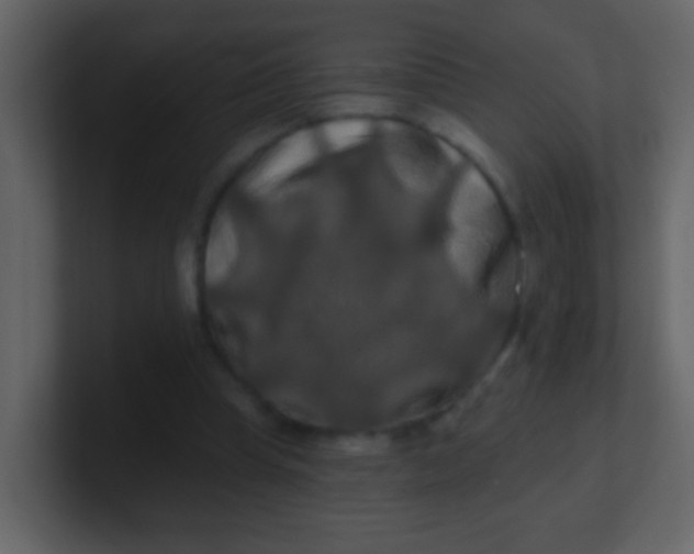 X0000100890345200807081046