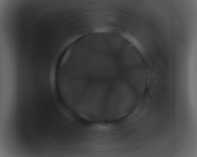 X0000100890346200807081046