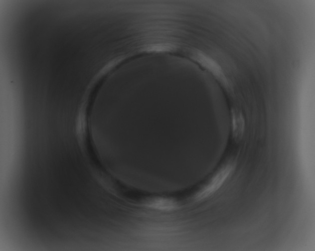 X0000100890348200807081046