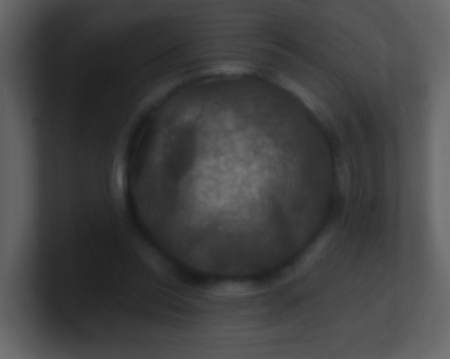 X0000100890350200807081046