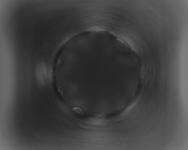 X0000100890351200807081046