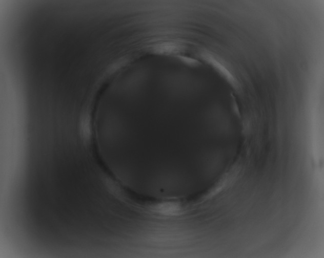 X0000100890353200807081046